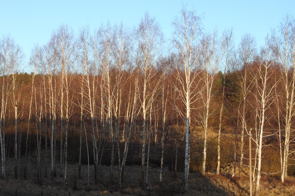 Forest Apartment พาลังกา ภายนอก รูปภาพ